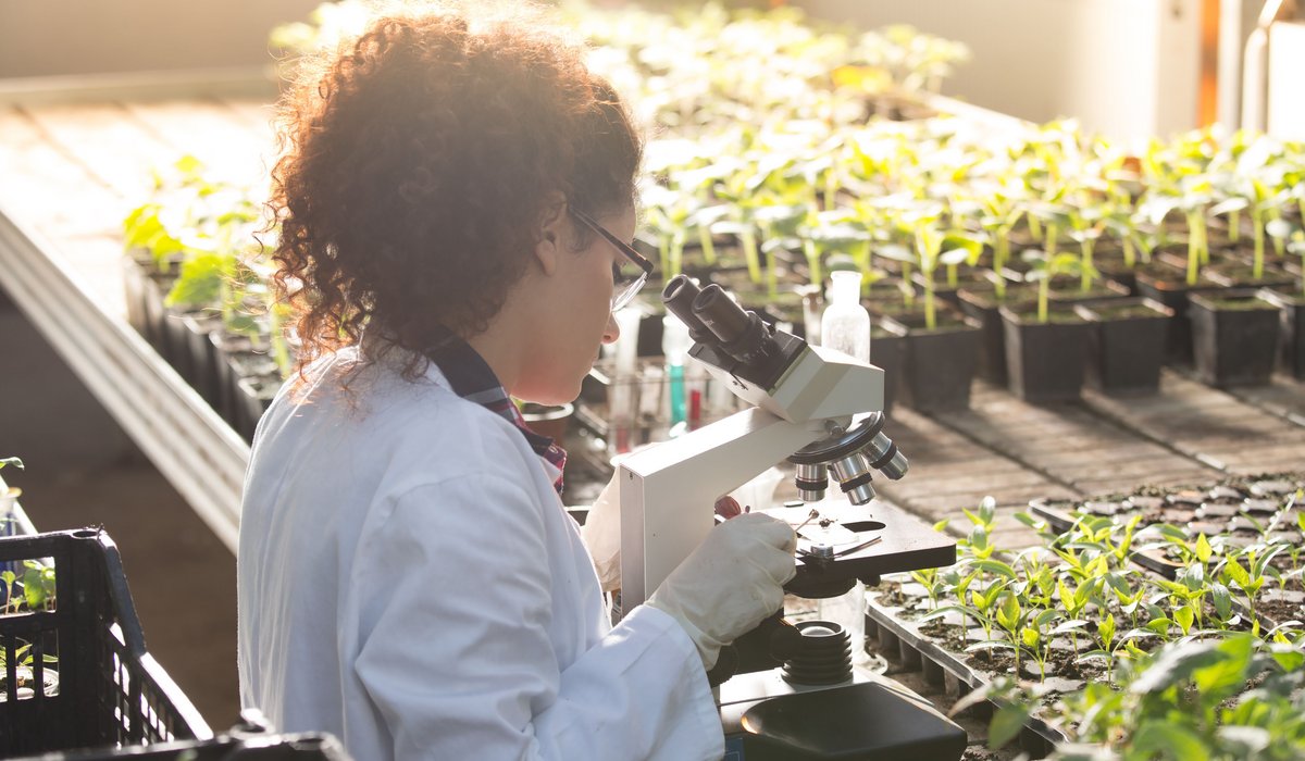 Biologie&shy;laborant/-in